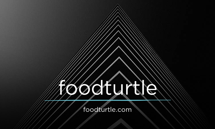 FoodTurtle.com - Cool premium domains for sale