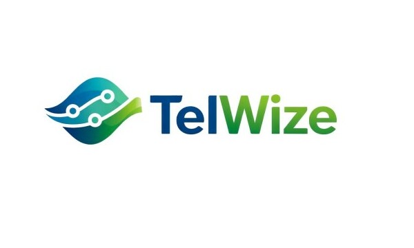 TelWize.com