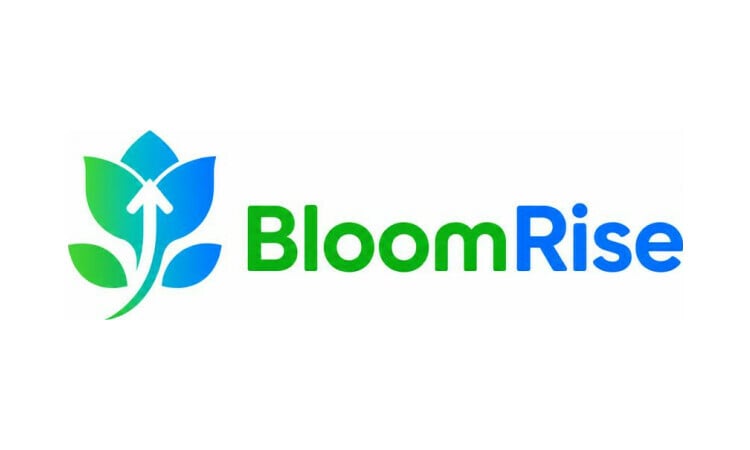 BloomRise logo