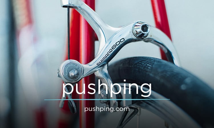 PushPing logo