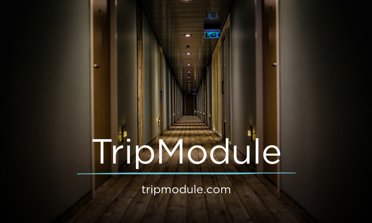 TripModule.com - buying Catchy premium names
