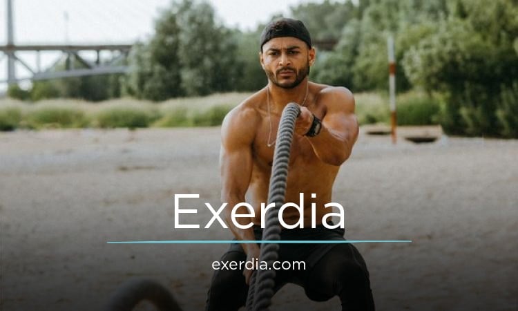 Exerdia.com - Great premium domain marketplace