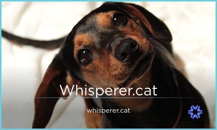 Whisperer logo