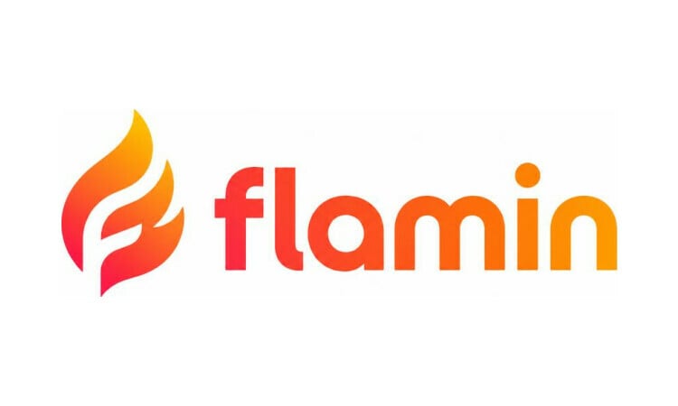 flamin logo