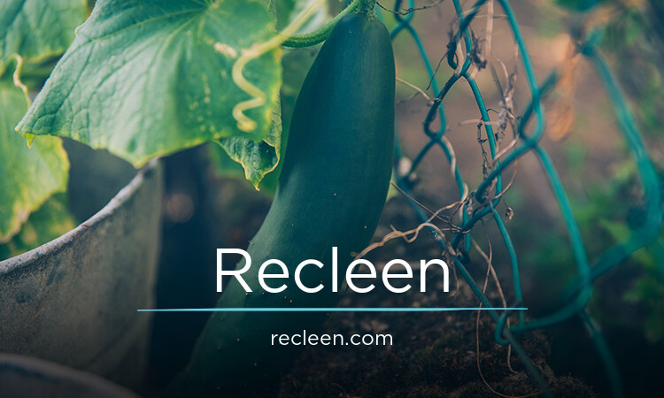 Recleen.com - Unique premium domain marketplace