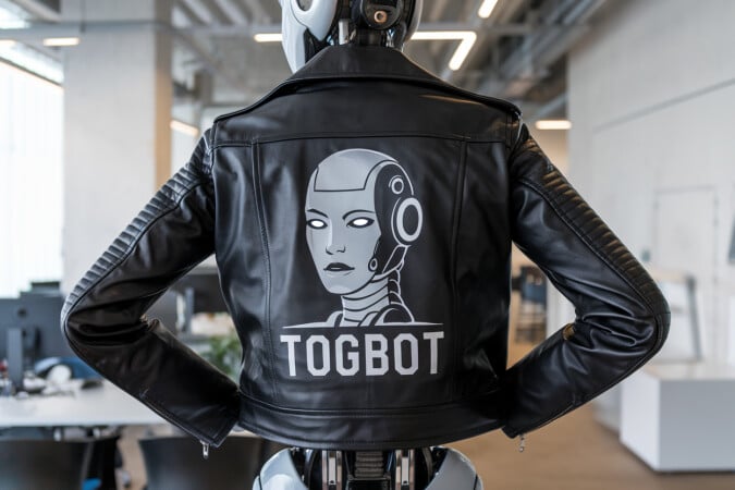 TogBot.com image 3