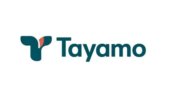 Tayamo - New premium firm names for sale