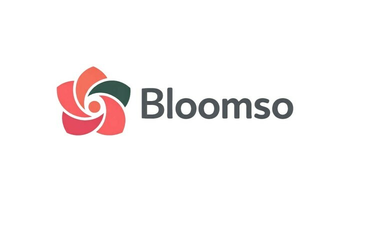 Bloomso.com - Good premium names