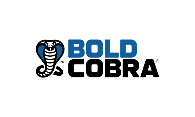BoldCobra.com - Good premium domain names for sale