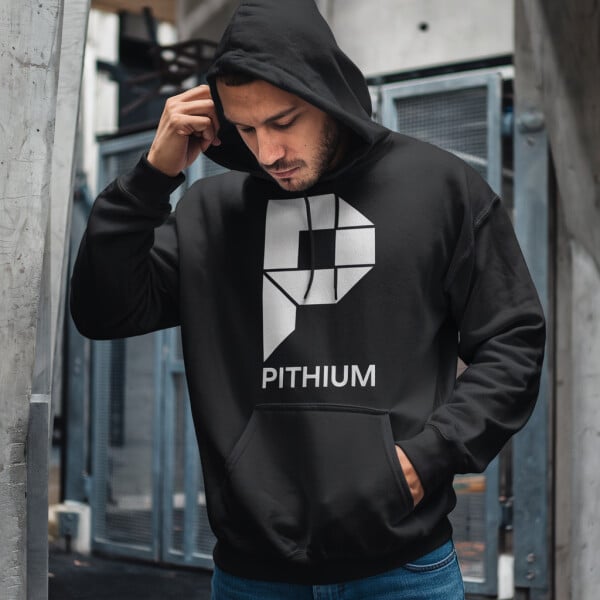 Pithium.com image 4