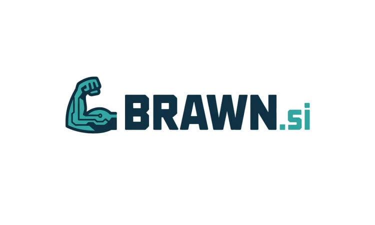 Brawn logo