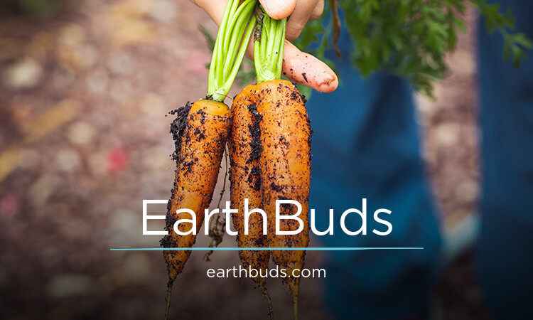 EarthBuds.com - Good premium domain names for sale