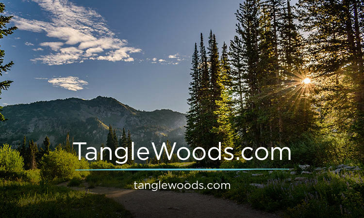 TangleWoods.com - buy Great premium domains