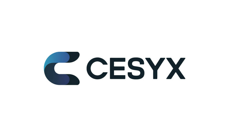 Cesyx.com - Unique premium domain names for sale