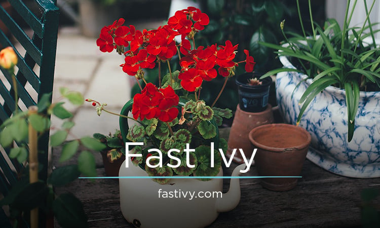 FastIvy.com - buy Good premium domains