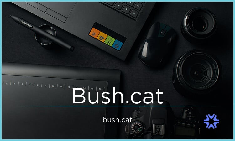 Bush logo