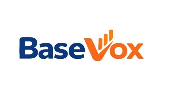 BaseVox logo