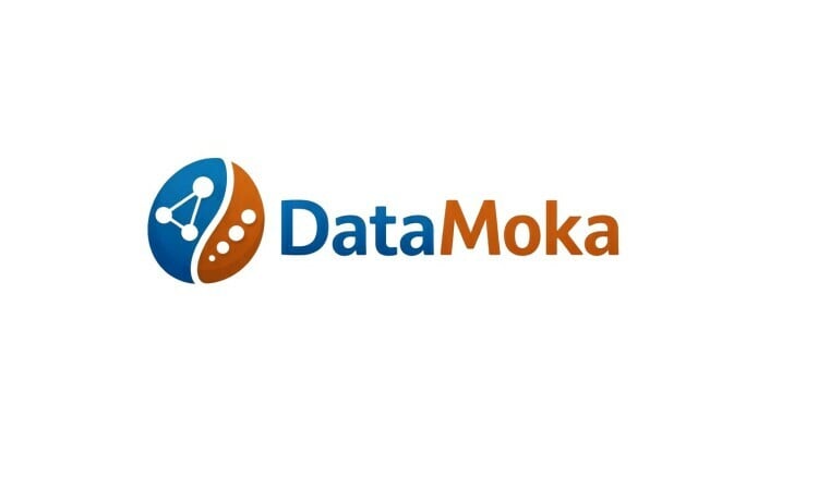 DataMoka logo