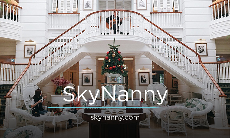 SkyNanny.com - Unique premium names