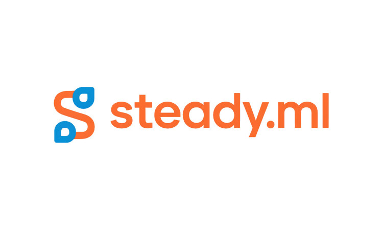 Steady logo
