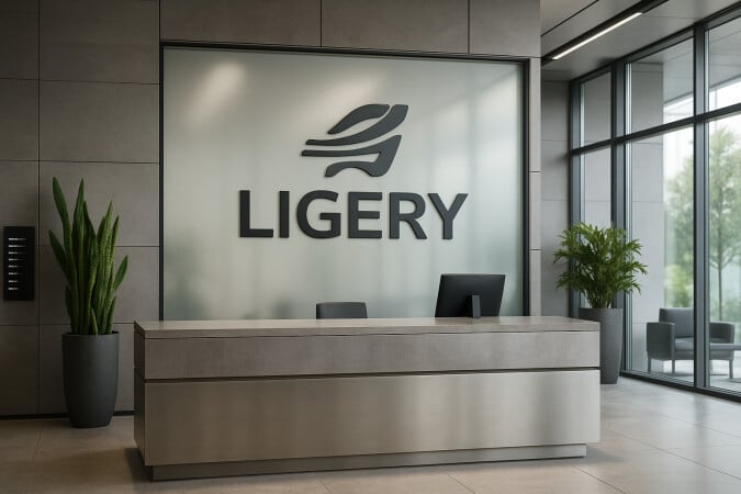 LIGERY.com image 4