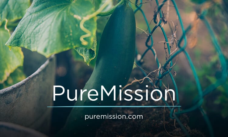 PureMission.com - Best premium domains