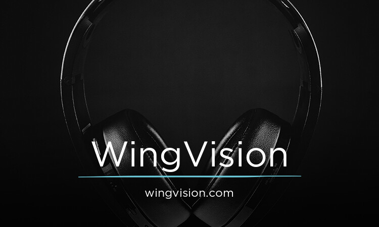 WingVision.com - buy Catchy premium domains