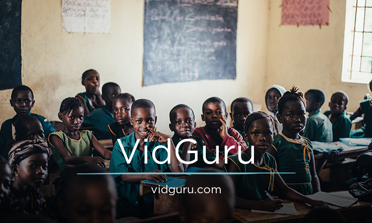 VidGuru.com - New domains for sale