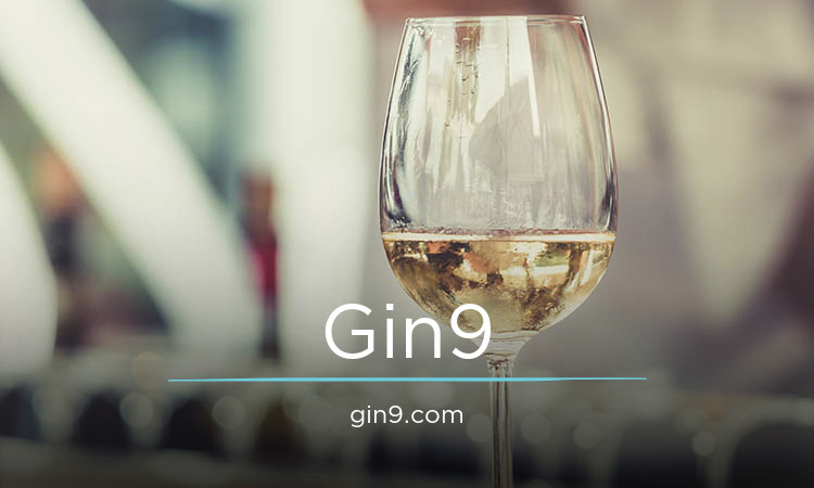 Gin9 logo