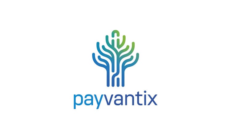 PayVantix.com - buying New premium names