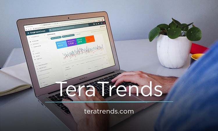 TeraTrends.com - buy New premium names