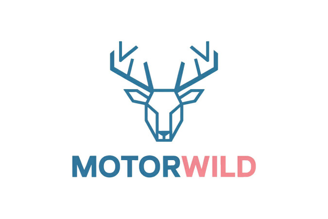 MotorWild.com - buy Cool premium names