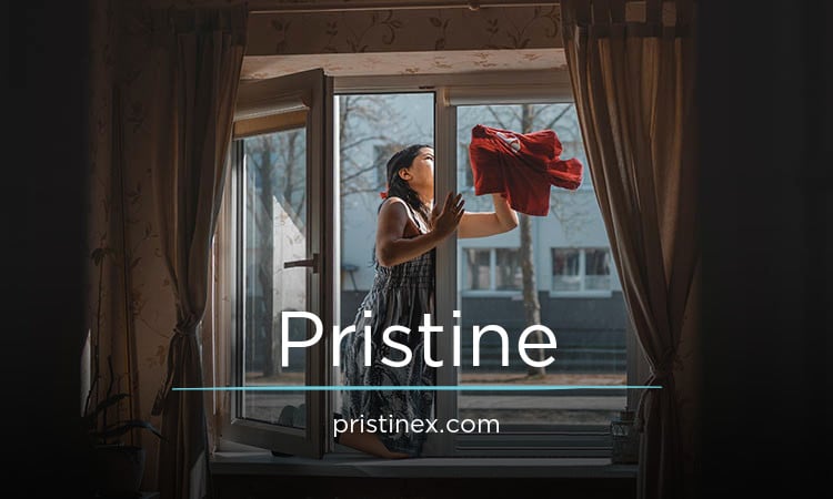 PristineX.com - buy New premium domains