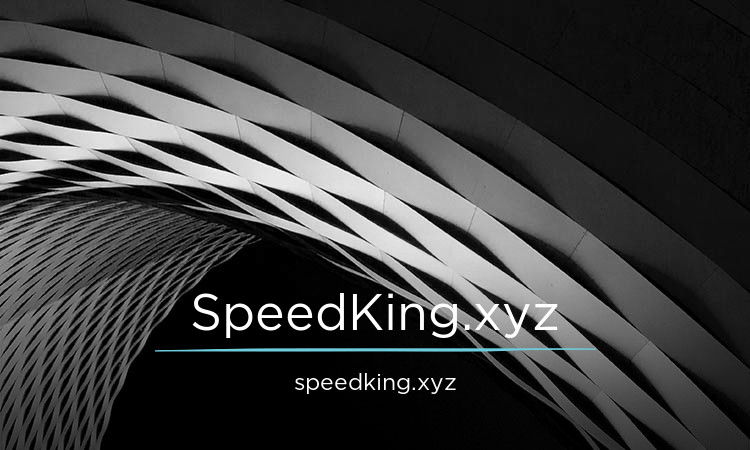 SpeedKing.xyz - Creative premium domain names