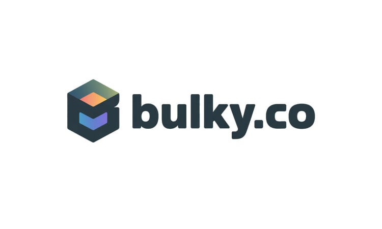 Bulky logo
