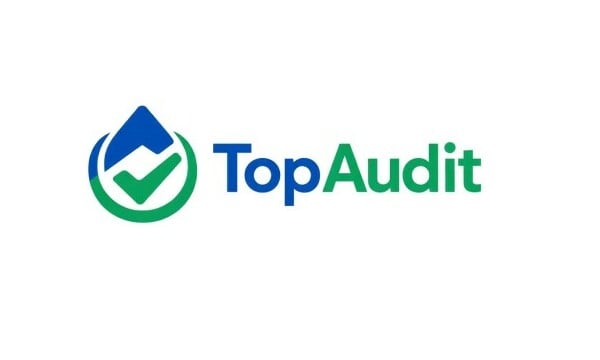 TopAudit logo