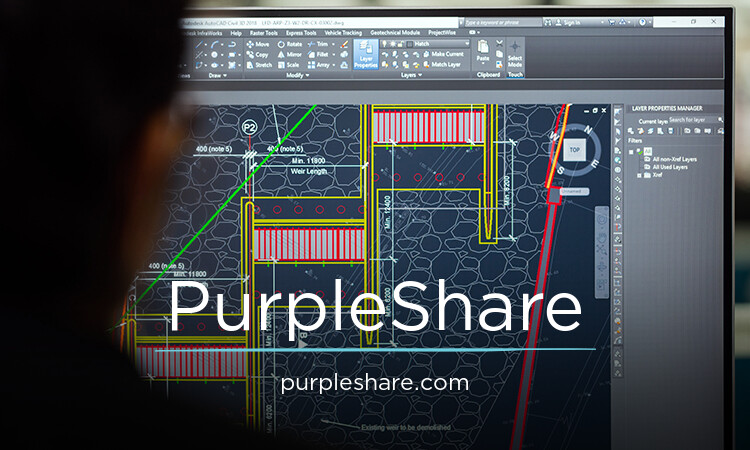 PurpleShare.com - Good premium domain marketplace