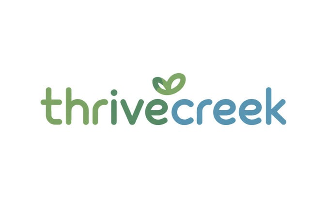 ThriveCreek.com - buy Best premium domains