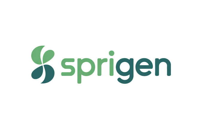 SpriGen.com - Creative domains for sale