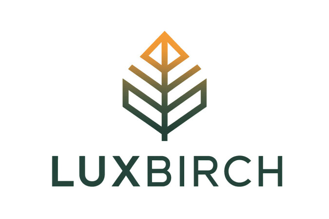LuxBirch.com - buy Great premium domains
