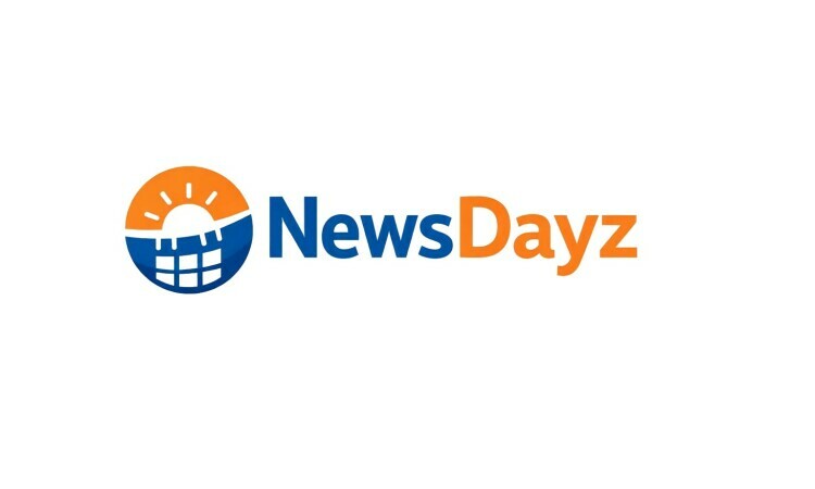 NewsDayz logo