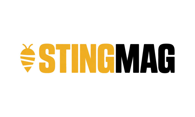 StingMag.com is for sale