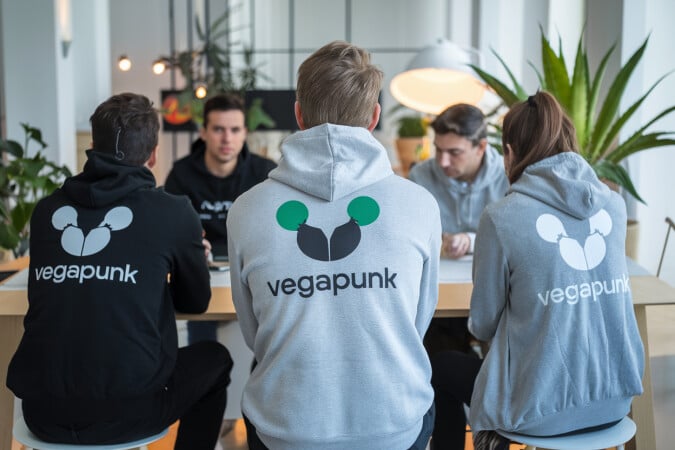 Vegapunk.com — 5