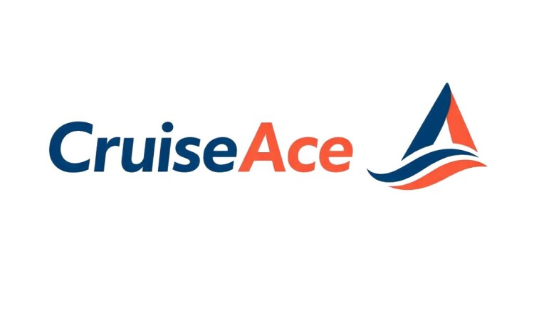 CruiseAce.com - New domains for sale