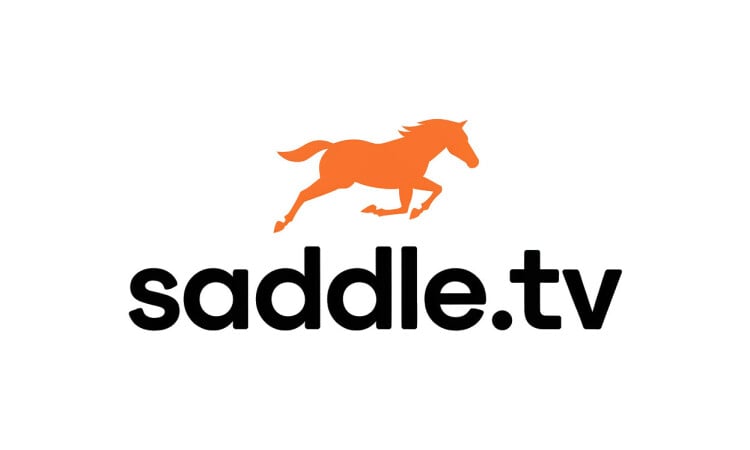 Saddle logo