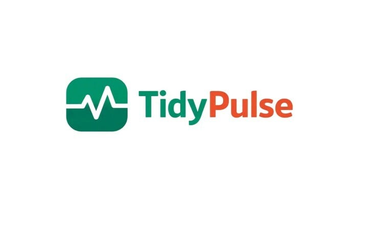 TidyPulse.com - Good premium domain marketplace