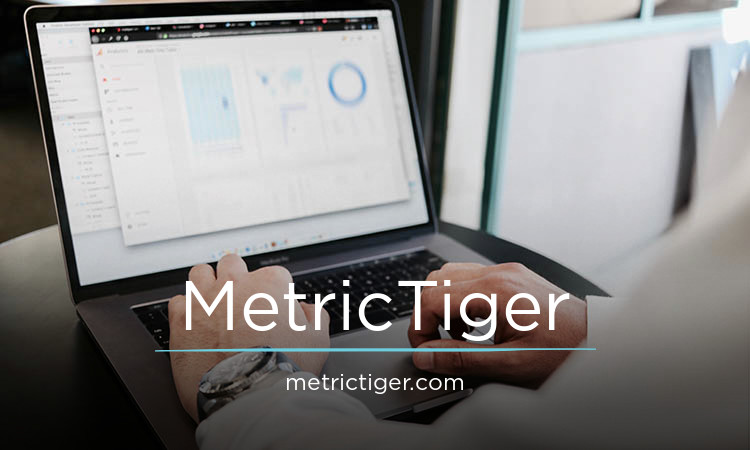 MetricTiger.com - Creative premium domain marketplace