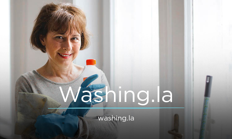 Washing logo