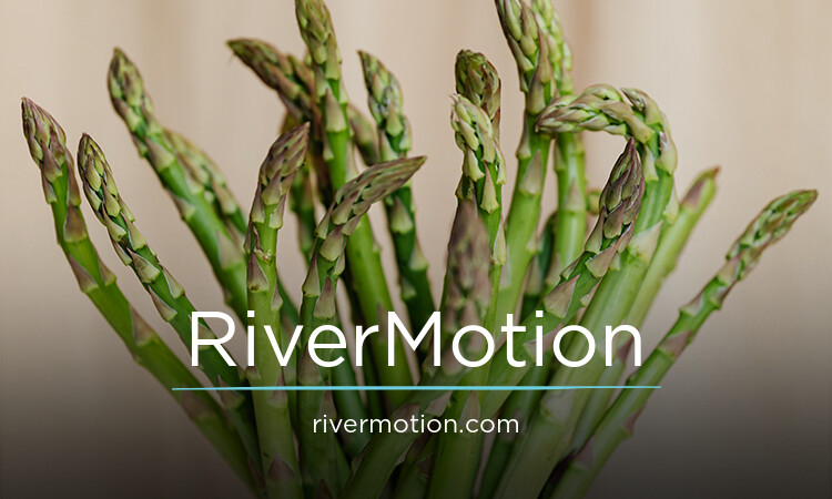 RiverMotion.com - Creative premium domain marketplace