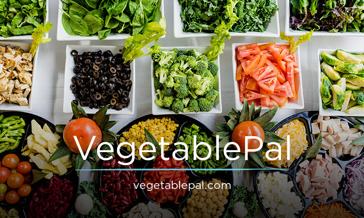 VegetablePal.com - New premium domain names for sale